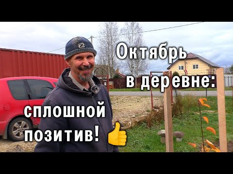 Видео: Октябрь в деревне - позитивные новости! 👍