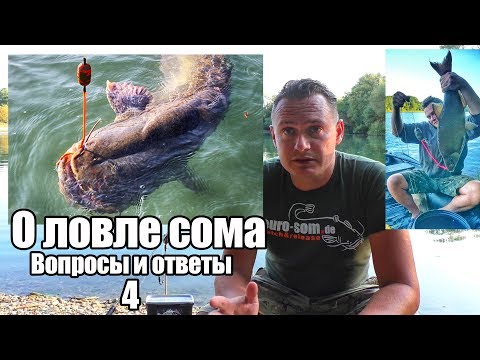 Видео: О ловле сома. Вопросы и ответы 4. Рыбалка на сома, оснастка, способы ловли.