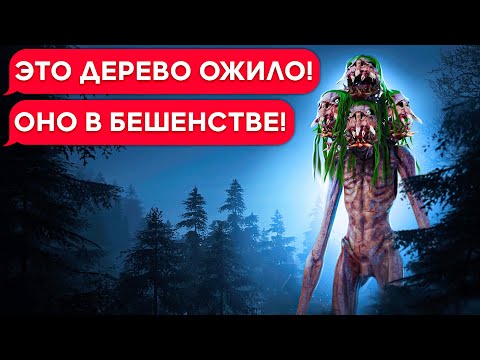 Видео: ФОТООХОТА НА ЖУТКОЕ СУЩЕСТВО В ЛЕСУ! ТРИ ХЭД он же ДЕРЕВОГОЛОВЫЙ!