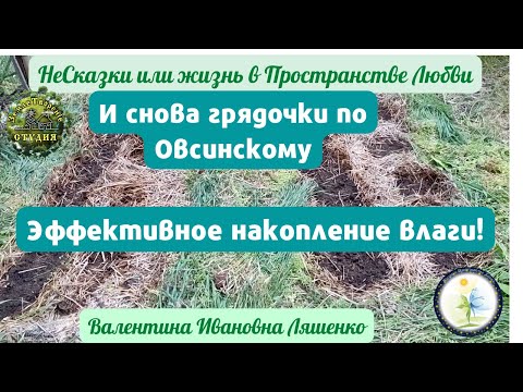 Видео: И снова грядочки по Овсинскому. Эффективное накопление влаги!