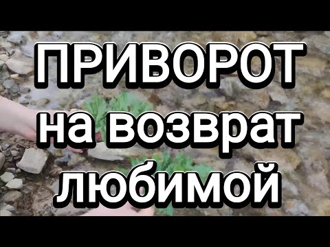 Видео: Приворот на возврат любимой 🙏 Таро для мужчин 🙏 Самый сильный приворот для возвращения женщины