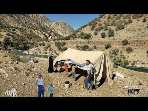 Видео: 🏕️ Кочевая жизнь в Иране | Установка традиционной чёрной палатки⛺️ и золотые секреты кочевников