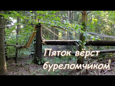 Видео: Пяток вёрст буреломчиком