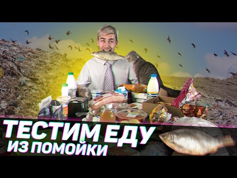 Видео: ЕДА из ПОМОЙКИ 9 | Ем всё подряд из мусорки | Опасная дегустация #помойкакормит