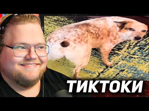 Видео: T2X2 ПЫТАЕТСЯ не ЗАСМЕЯТЬСЯ с ТИКТОКОВ ПОДПИСЧИКОВ #4