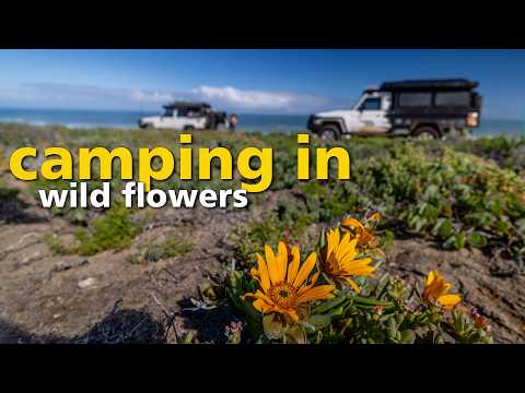 Видео: Кемпинг среди цветов — Приключенческое путешествие по Намакваленду, Южная Африка — Эпизод 1