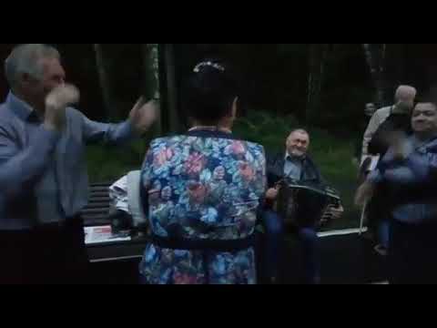 Видео: 03.08.19.Измайловский пятачок.Задорная игра под частушки на гармони.