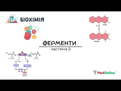 Видео: Ферменти | Коферментні Функції Водорозчинних Вітамінів