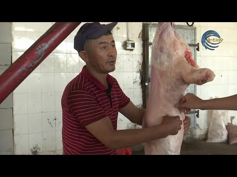 Видео: ҚАСАПШЫ / МАЛ СОЯТЫН МАМАН, ТАБАҚ ТАРТАТЫН ТАРЛАН / МАМАНДЫҚ МАҢЫЗЫ / 06.07.22