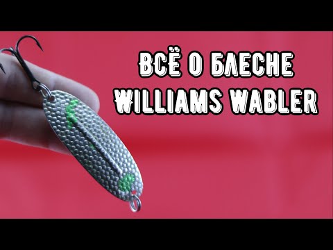 Видео: Одна из ЛУЧШИХ. Колебалка Williams Wabler