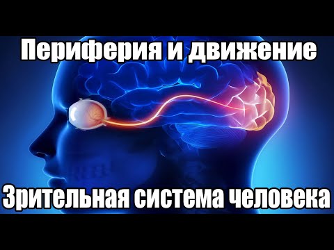 Видео: Периферическое зрение и движение (fps). Зрительная система человека | ОРВВ 2