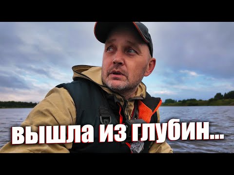 Видео: ЩУКА ВЫШЛА НА ОХОТУ — И Я ТОЖЕ! БИТВА НА ОЗЕРЕ!