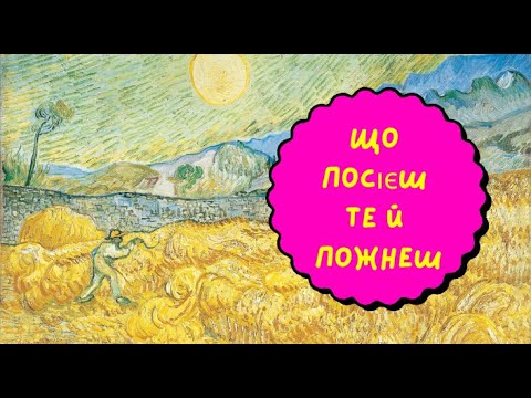 Видео: Відповідальність: Теорія Та Практика