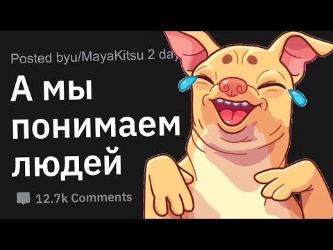Видео: Случаи, Когда Питомцы Оказались Смышлённее Хозяев