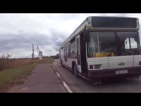 Видео: Автобус №41 (Витебск). Новка-2 - Смоленская площадь.