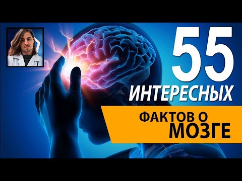 Видео: Интересные факты о нашем мозге [Убермаргинал и Алипов]