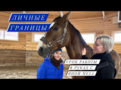 Видео: Работа с лошадью в руках | Юный коневладелец
