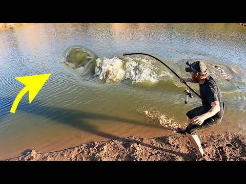 Видео: САМАЯ РЕДКАЯ РЫБА-МОНСТР в США!! (БОЛЬШЕ МЕНЯ)