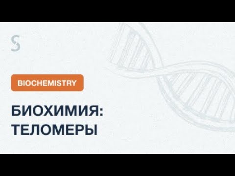Видео: USMLE Step 1 - Биохимия: Теломеры