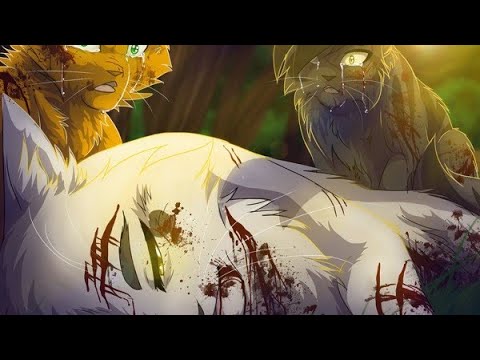 Видео: Коты воители смерть Бурана.