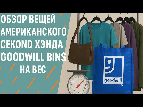 Видео: Что можно найти в американском секонд-хэнде Goodwill Bins | Обзор находок на вес