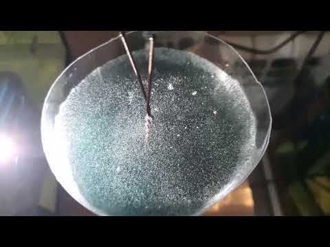 Видео: Инфузория, чистка новым для меня способом! Кормление мальков!