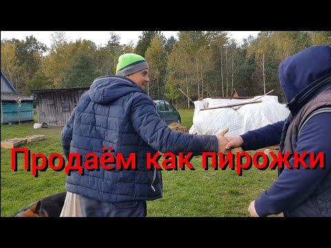 Видео: Весь хутор под видеонаблюдением ,только никому не говорите под каким . Приехал товарищ за поросятами