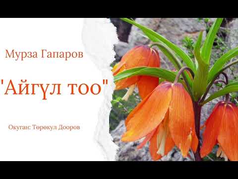 Видео: Мурза Гапаров. "Айгүл тоо". Аңгеме. Аудиокитеп