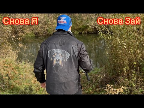 Видео: Крайняя рыбалка на Заю в этом году/Обзор #2025#рыбалка#fashion 