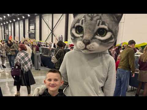 Видео: Выставка город собак, мир кошек.