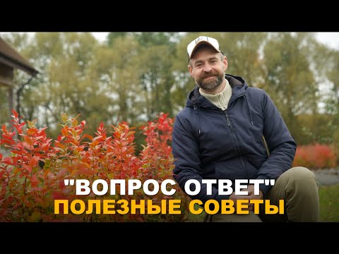 Видео: РУБРИКА "ВОПРОС-ОТВЕТ": О хранении саженцев, листве, посадках, тыквах, луке и чесноке.