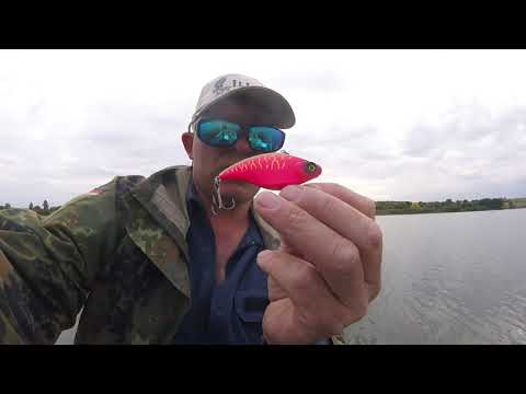 Видео: Ловля щуки на ратлины  разловил ратлины AllBlue  27.0820г