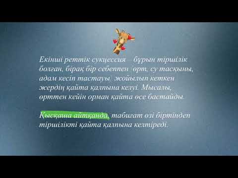 Видео: AIGOLEK APAI | GOBIO | 2 сабақ