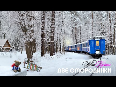 Видео: Иван Кучин - Две Смородинки