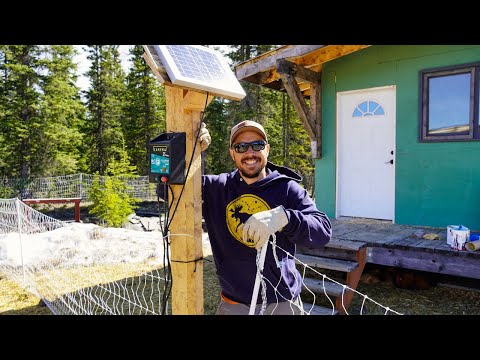 Видео: Курятник, построенный для Аляски | Отделка интерьера и ограждение на солнечных батареях