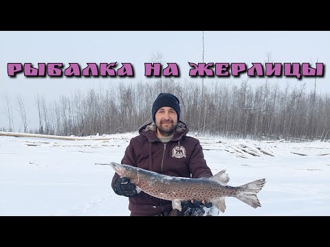 Видео: Рыбалка на жерлицы 2022. Бурейское водохранилище. Майдакан.