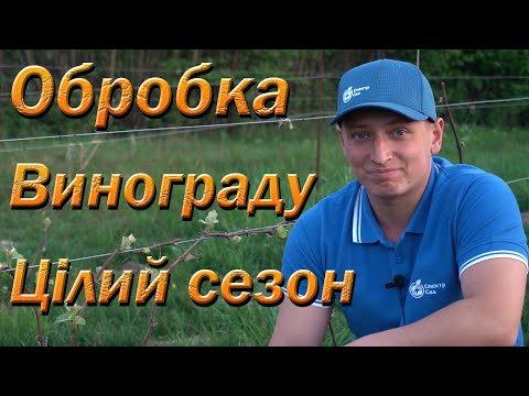 Видео: Схема обробки винограду на увесь сезон