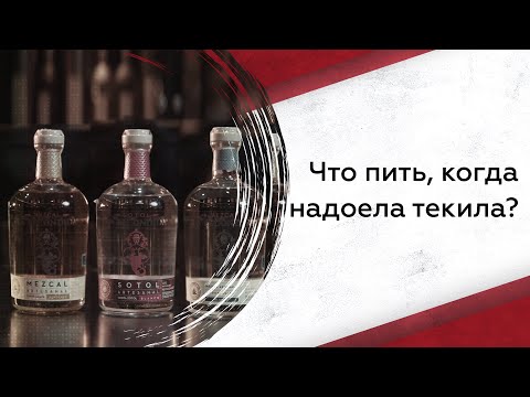 Видео: Мескаль, сотол и раисилья: что пить, когда надоела текила?