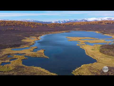 Видео: Золотой Алтай 4К