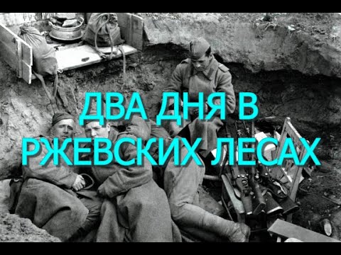 Видео: ДВА ДНЯ В РЖЕВСКИХ ЛЕСАХ