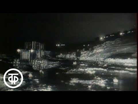 Видео: Наша биография. Год 1954