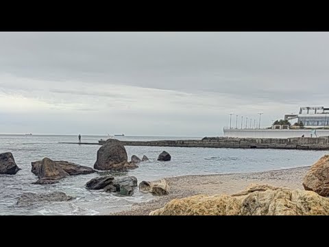 Видео: @michaelodess. в прямом эфире!