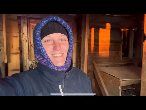 Видео: Кролики. Бизнес или для себя. Итоги за год.