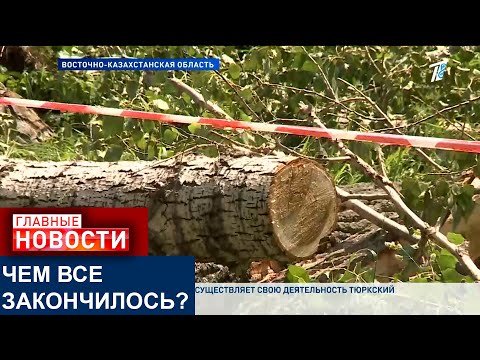 Видео: В ВКО ХОЗЯИН УЧАСТКА ВЫРУБИЛ ЧАСТЬ ЛЕСОПОЛОСЫ, ПРОХОДЯЩЕЙ ПО ЕГО ТЕРРИТОРИИ