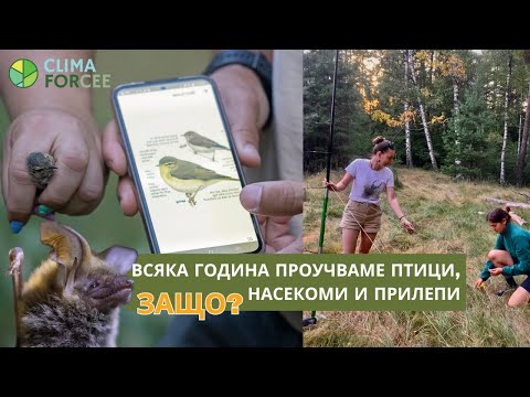 Видео: Защо вече 4 години проучваме птиците, насекомите и прилепите?