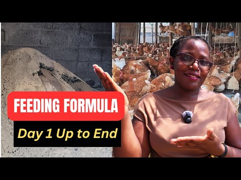 Видео: Экономически эффективные формулы кормления с первого дня до откладки яиц,/ ДЛЯ ВСЕХ ЭТАПОВ.