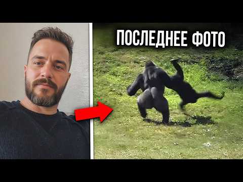 Видео: 5 самых ужасающих смертей посетителей зоопарка