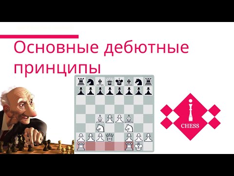 Видео: ОСНОВНЫЕ ДЕБЮТНЫЕ ПРИНЦИПЫ |  уроки шахмат | видеоурок для начинающих