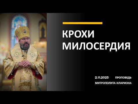 Видео: ПРОПАСТЬ ЗЕМНАЯ, МОСТ НЕБЕСНЫЙ