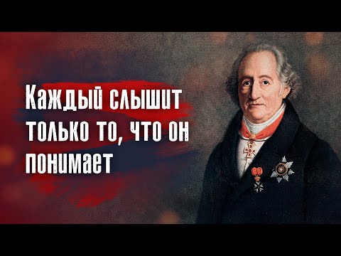 Видео: Иоганн Вольфганг Гёте - Мы привыкли, что люди издеваются над тем, чего они не понимают